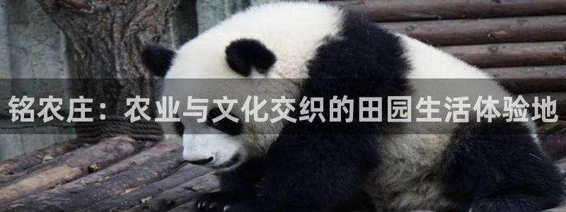 pg电子棋牌爆发视频