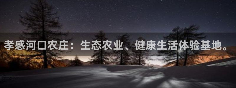 盛大娱乐pg电子游戏