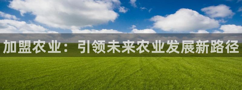 pg电子夺宝试玩网站