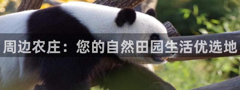 PG电子平台网址