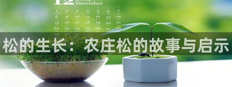 pg电子麻将胡了输很多