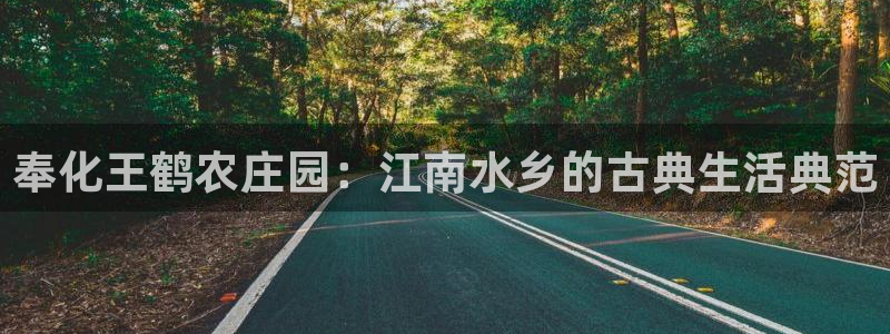 pg电子是真恶心