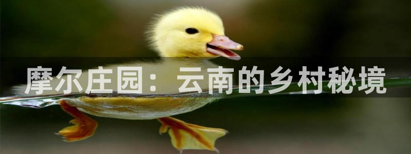 怎么登录pg电子游戏