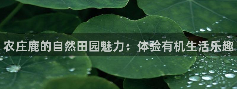 pg官方电子平台