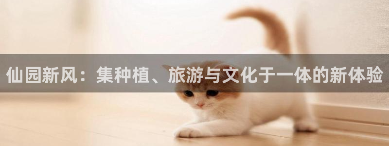 电子pg游戏一条龙