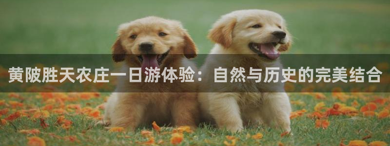 pg电子玩法心得