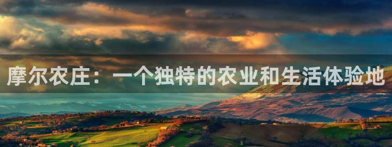 pg电子三只猴子视频