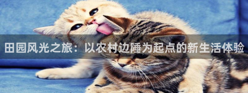 pg电子招财猫试玩