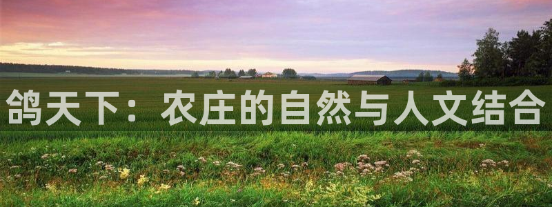 pg电子免费游戏视屏