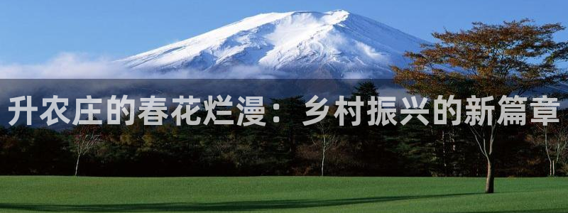 PG电子爱尔兰精灵免费