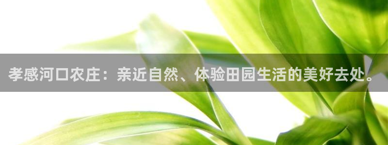 pg电子游戏寻宝黄金城