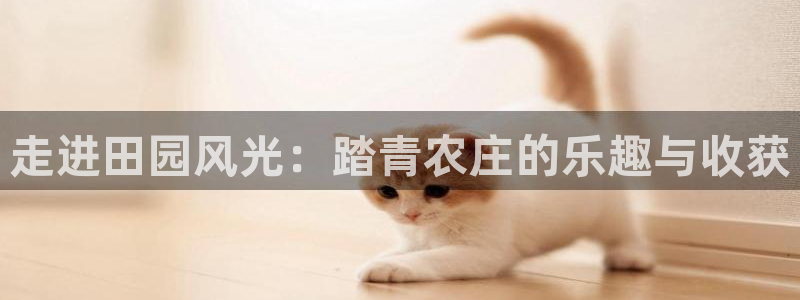 pg电子试玩地址
