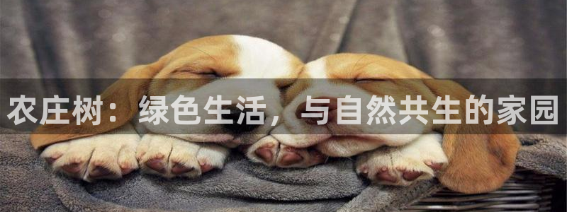 pg电子游戏可以按吗