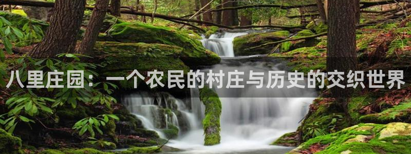 澳门PG电子网址