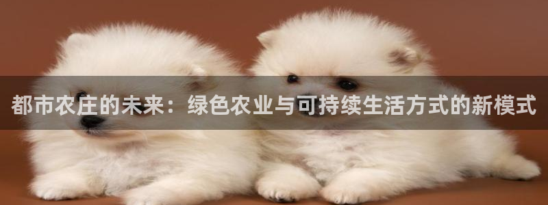 pg电子辅助软件下载