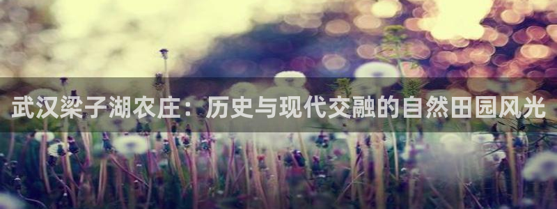 pg电子直播试玩