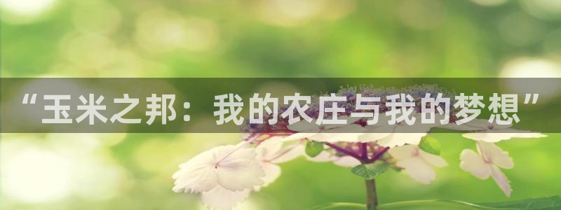 PG电子麻将胡了漏洞