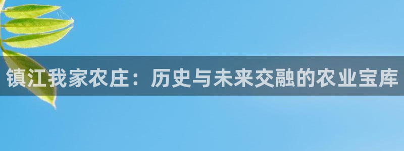 Kok里pg电子维护
