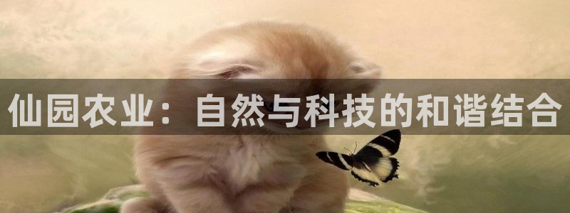 pg电子最新版下载